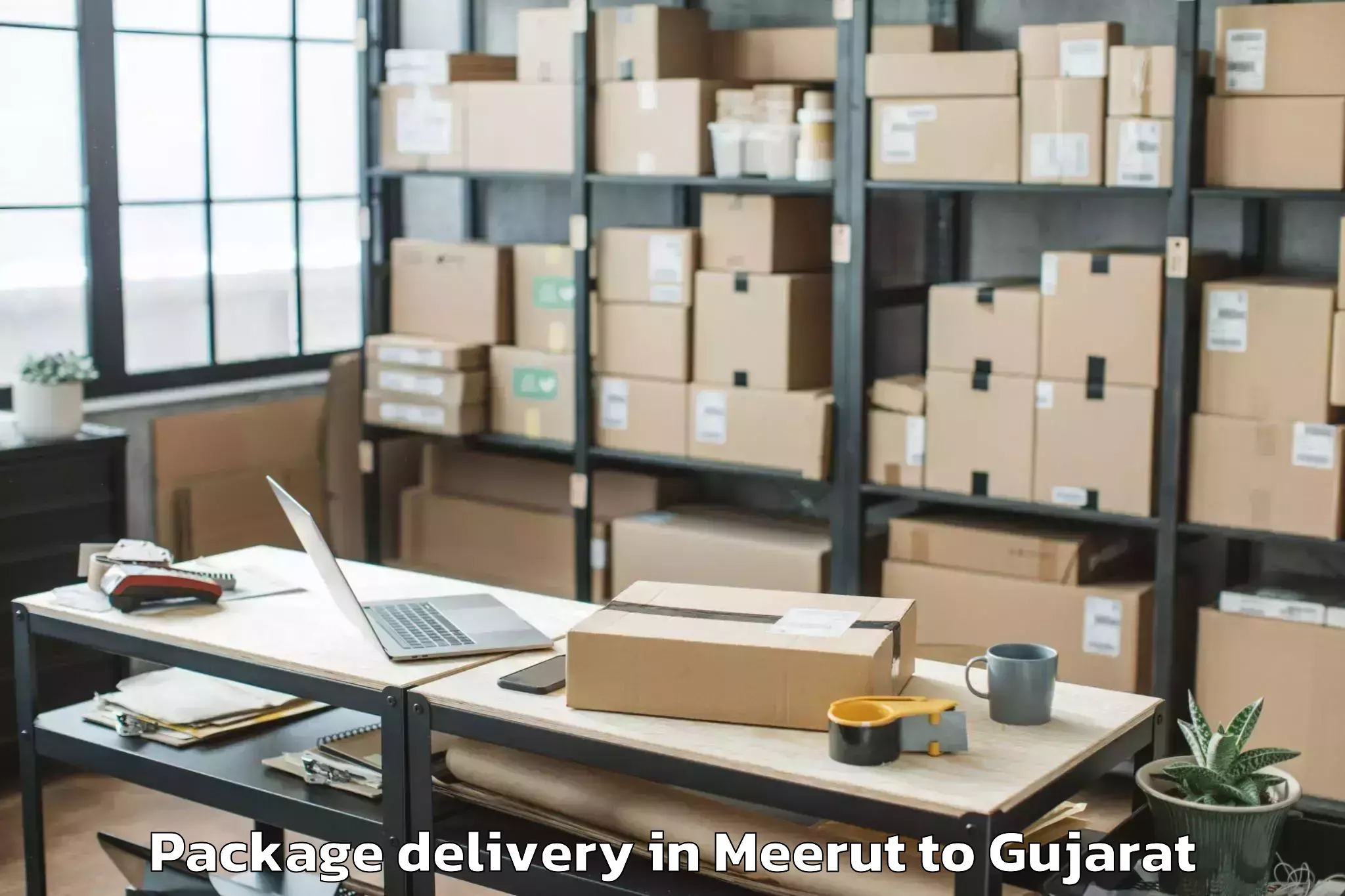 Easy Meerut to Hansot Package Delivery Booking